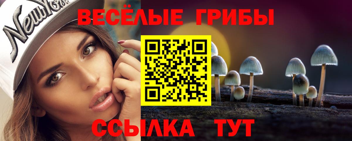 Галлюциногенные грибы Cubensis  Вход с VPN  Апатиты 